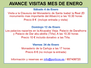 AVANCE VISITAS MES DE ENERO